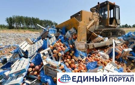 За пять лет в России уничтожили 36 тысяч тонн санкционных продуктов