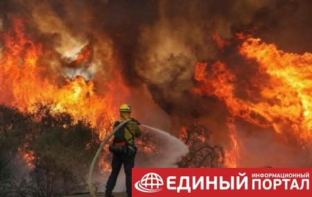 В России горят тысячи гектаров леса: есть жертва