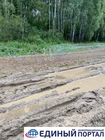 На границе Польши и Беларуси группа людей разрушала новый забор