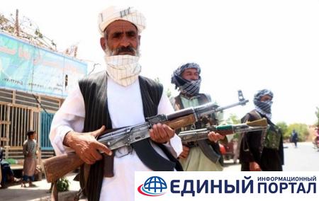 "Талибан" казнил четырех человек в Кандагаре - соцсети