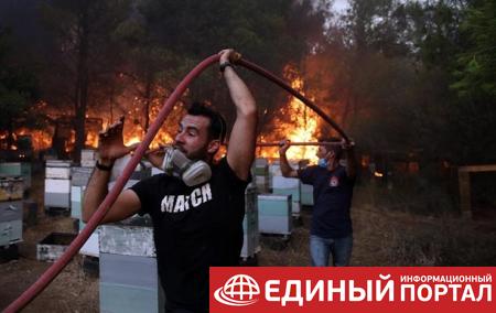 В Греции полыхают масштабные пожары. Фоторепортаж