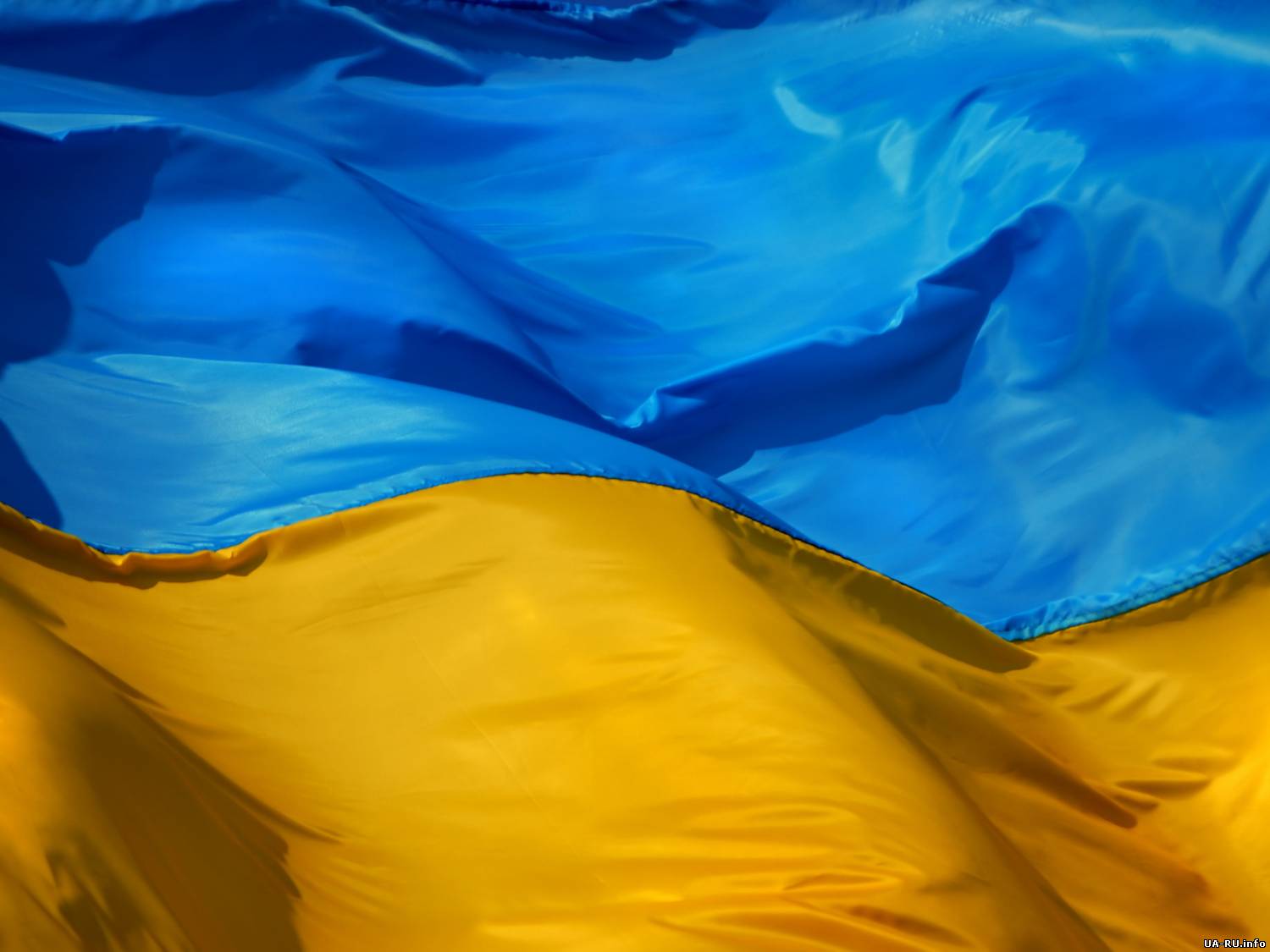 Украинцы к Новому Году готовят обращение к президенту