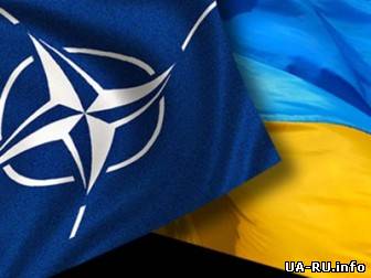 НАТО призвало В.Януковича расследовать нарушения прав человека