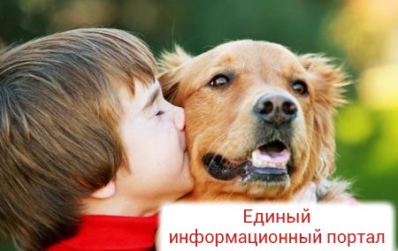 В России детям запретили выгуливать крупных собак