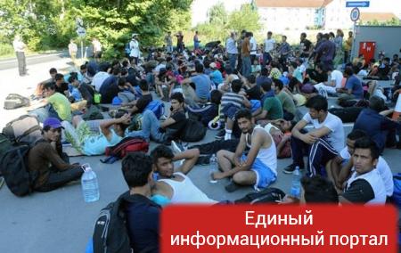 На границе с Венгрией 300 беженцев устроили голодовку