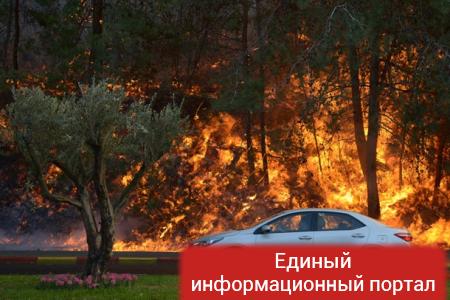 Израиль в огне: власти заявили о теракте