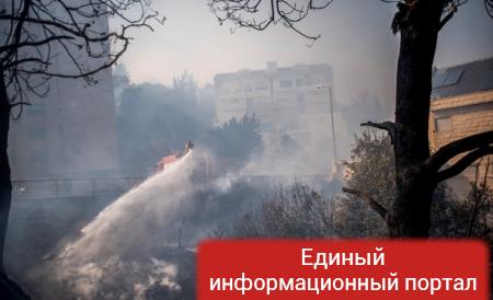 Пожары в Хайфе: эвакуированы 50 тысяч человек