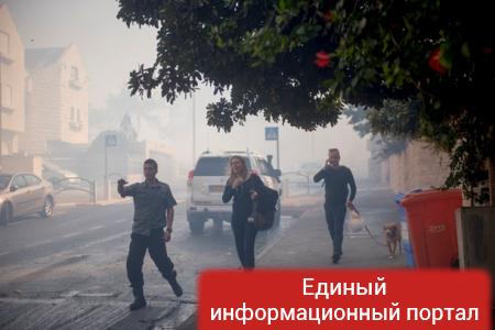 Пожары в Хайфе: эвакуированы 50 тысяч человек