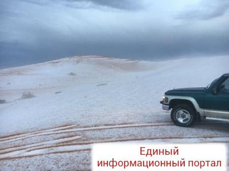Саудовскую Аравию засыпало снегом