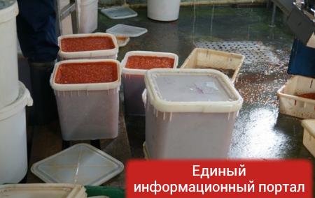 В Москве украли 13 тонн красной икры