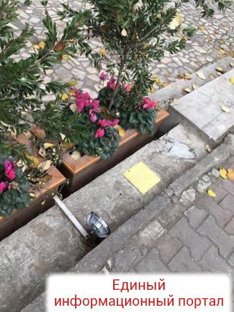 В Стамбуле пропал памятник кошке, ставшей мемом
