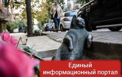 В Стамбуле вернули украденный памятник кошке-мему