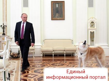 Курилы преткновения. Почему Путин не окончит войну