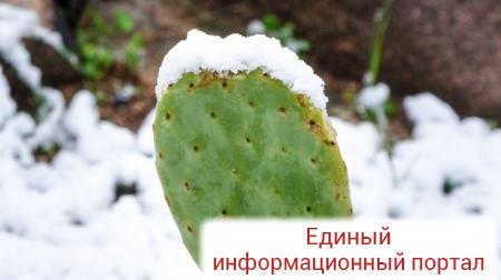 На Корсике из-за снегопада без света тысячи домов