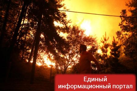 В Чили бушуют сильнейшие пожары в истории страны