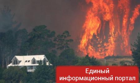 Новую Зеландию охватили лесные пожары, есть жертвы