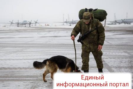 Россия отправила саперов на разминирование Пальмиры