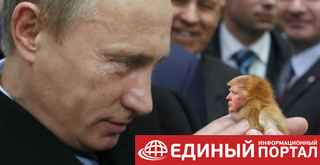 Будет салют. Соцсети о встрече Трампа и Путина