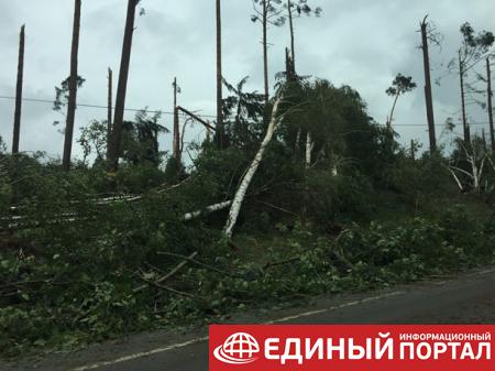 Ураган в Польше валил деревья, есть жертвы