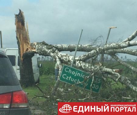 Ураган в Польше валил деревья, есть жертвы