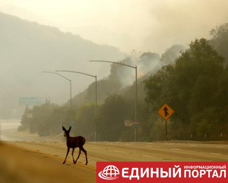 В Лос-Анджелесе ввели ЧП из-за масштабного пожара