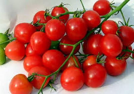 Выбираем семена томатов с умом