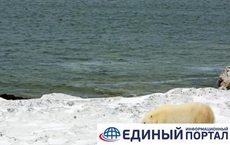 Глобальное потепление может "разбудить" сибирскую язву в России