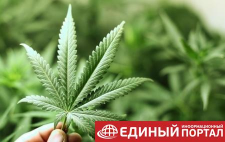 В Канаде планируют легализовать марихуану