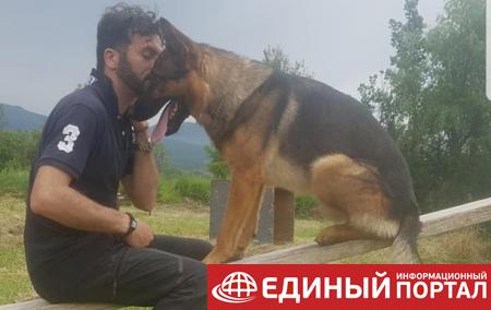 В Италии отравили собаку, которая спасала людей после землетрясения