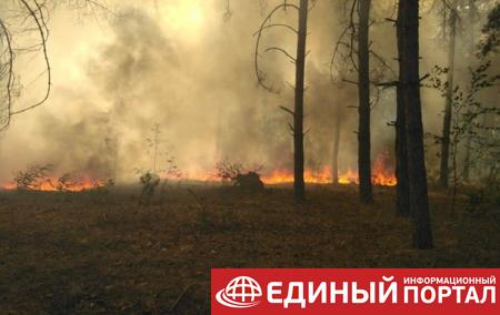 В Черногории вспыхнул лесной пожар