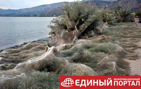 Гигантская паутина окутала побережье греческого острова