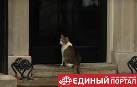 Полисмен открыл дверь коту британского премьера
