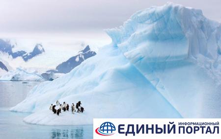 Эстония проведет крупную экспедицию в Антарктиду