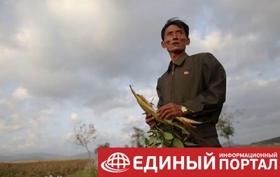 Половина жителей Северной Корее недоедает – ООН