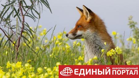 Какой праздник 27 апреля 2020: приметы, интересные факты