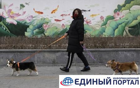 Китай причислил собак к домашним животным