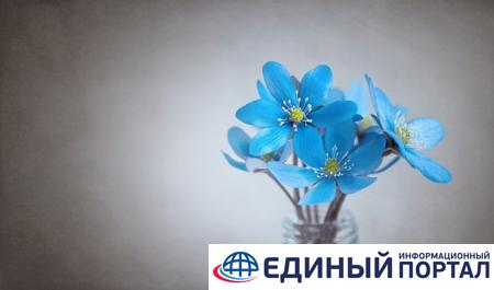 Праздники 29 апреля: День Ирины, приметы и традиции