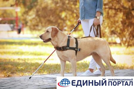 Праздники 29 апреля: День Ирины, приметы и традиции