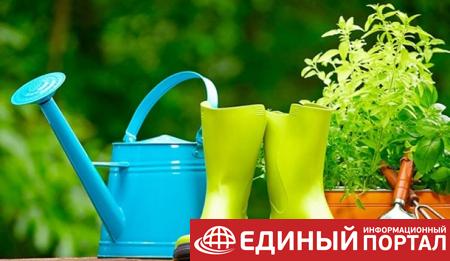 Праздники 29 апреля: День Ирины, приметы и традиции