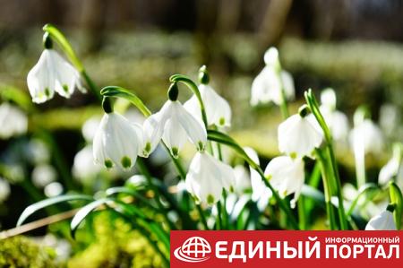 Праздники недели: что будем отмечать 13-19 апреля 2020 года