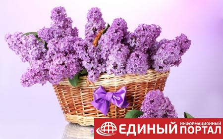 Как отмечают День матери в Европе и мире: традиции празднования