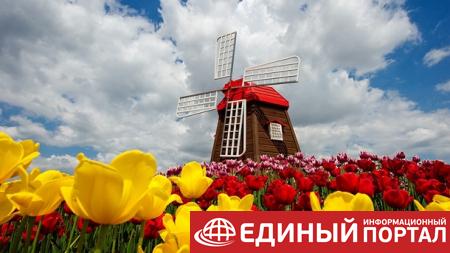 Какие праздники 11 мая 2020: любопытные факты, что нельзя делать