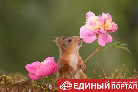 Какие праздники 11 мая 2020: любопытные факты, что нельзя делать