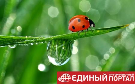 Какие праздники 22 мая 2020: любопытные факты, приметы, именины