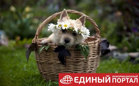 Какие праздники 22 мая 2020: любопытные факты, приметы, именины