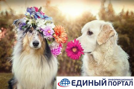 Какие праздники 7 мая 2020: любопытные факты, приметы, традиции