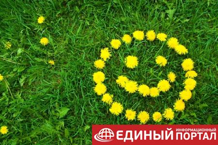 Какой праздник 13 мая 2020: любопытные факты, что нежелательно делать