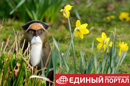 Какой праздник 13 мая 2020: любопытные факты, что нежелательно делать