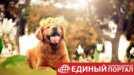 Какой праздник 15 мая 2020: неожиданные факты, именинники, приметы