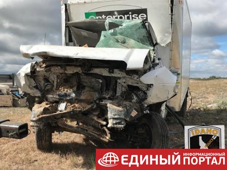 При ДТП в США погибло 14 собак